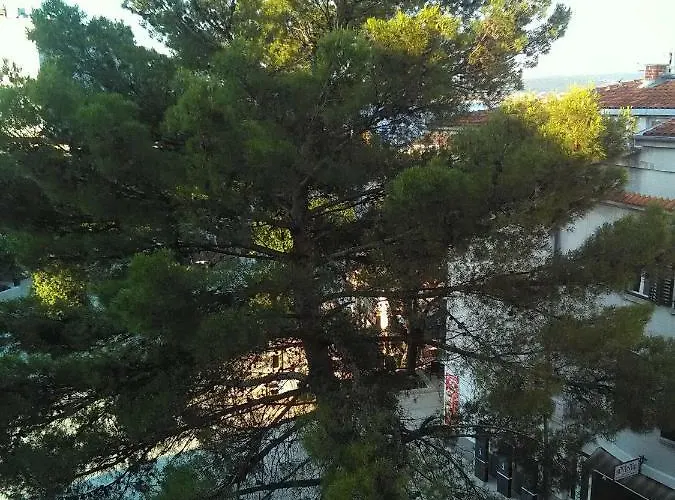 Sandra 2+2 *** تْسْغيكفانِتْسا